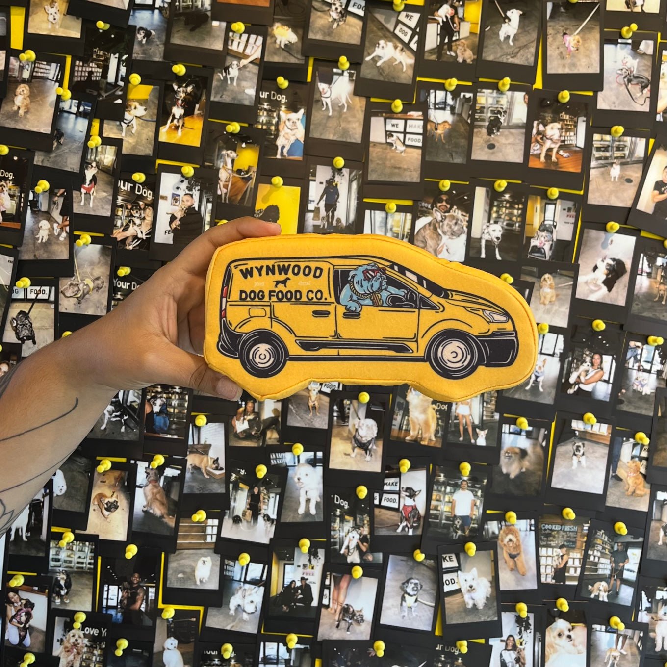 WDFC Delivery Van Toy - Wynwood Dog Food Co.
