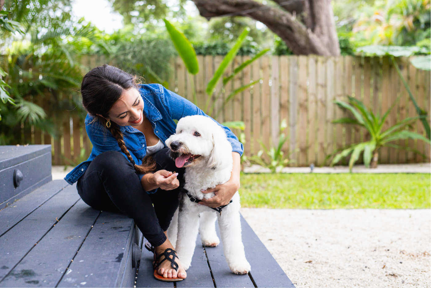 How Much Banana Can Be Given To Dogs For Digestive Reference: Understanding Your Dog S Digestive Health
