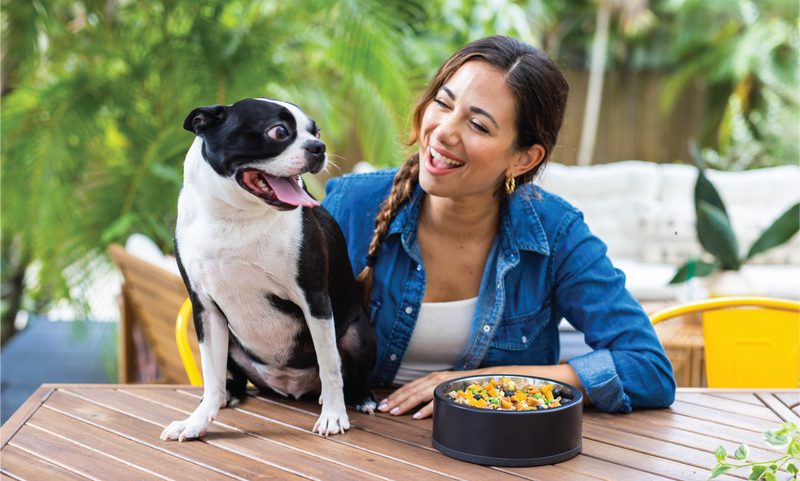 Wynwood Dog Food Co. | Love Your Dog