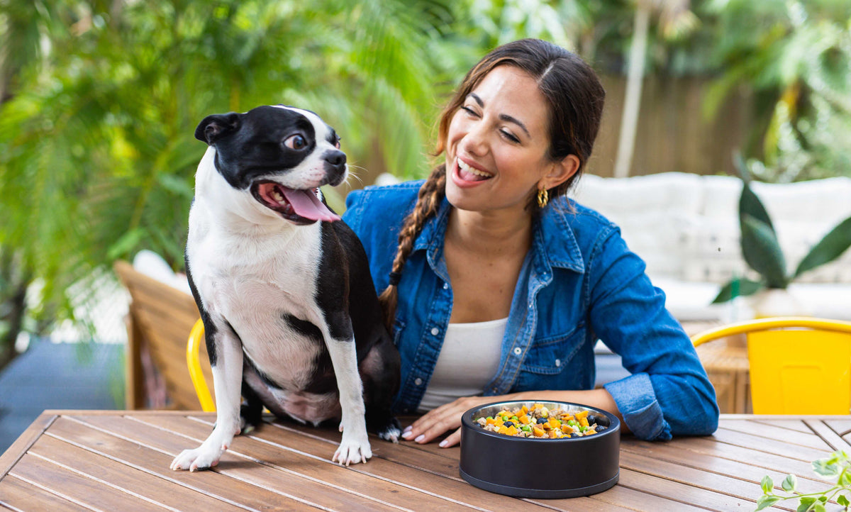 A person laughing beside their dog at a table set with a bowl of fresh Wynwood food