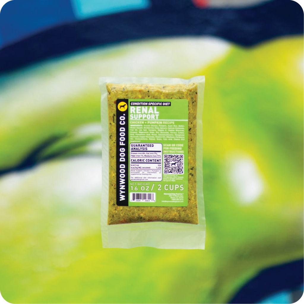 Is pumpkin good for dogs with kidney disease deals