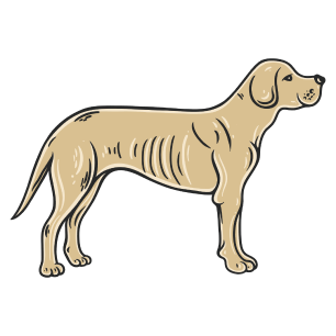 Sweet potato dog sales allergy