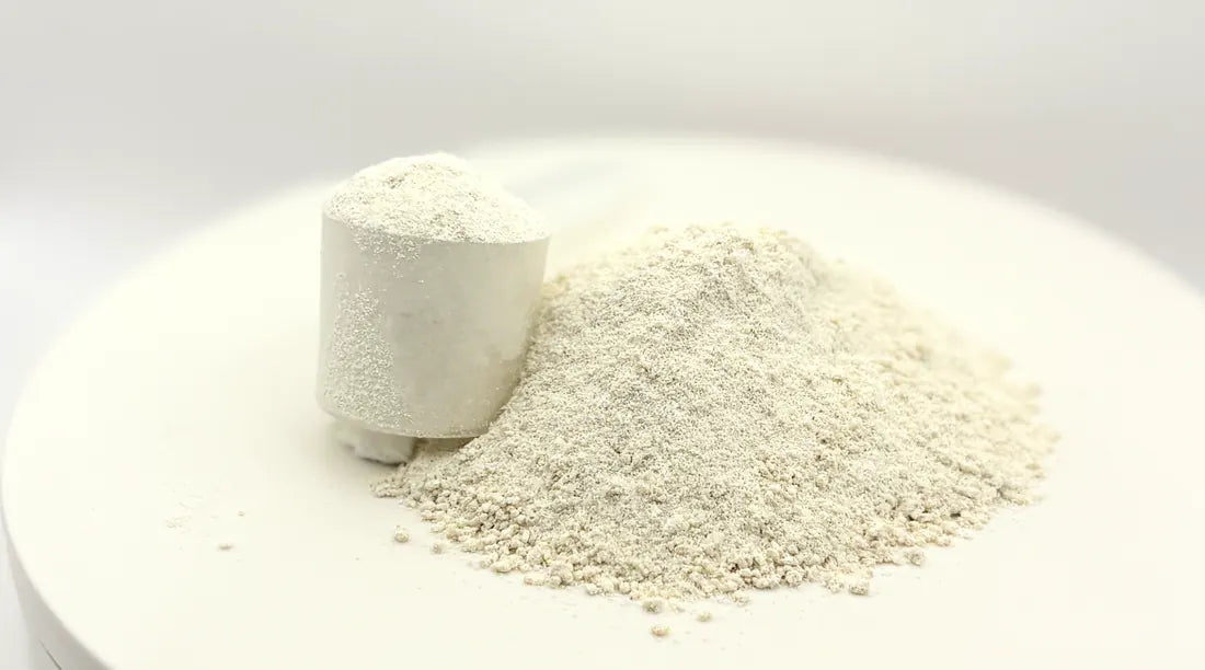 A full scoop of powder standing beside a mound of it on a white dish